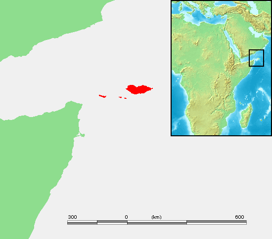 소코트라( Socotra)
