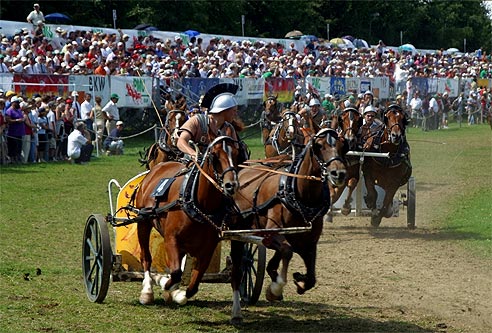 전차경주(chariot racing)