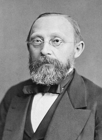 피르호(Rudolf Carl Virchow)