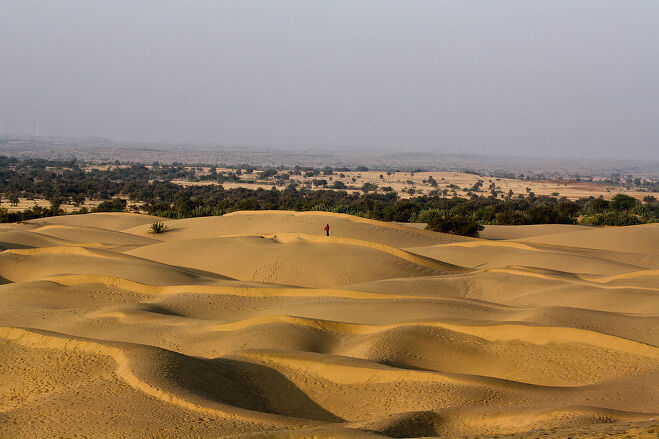 타르 사막 (Thar Desert)