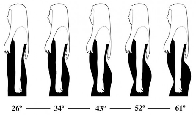 허리와 엉덩이가 이루는 각도에 따른 남성의 선호도 조사