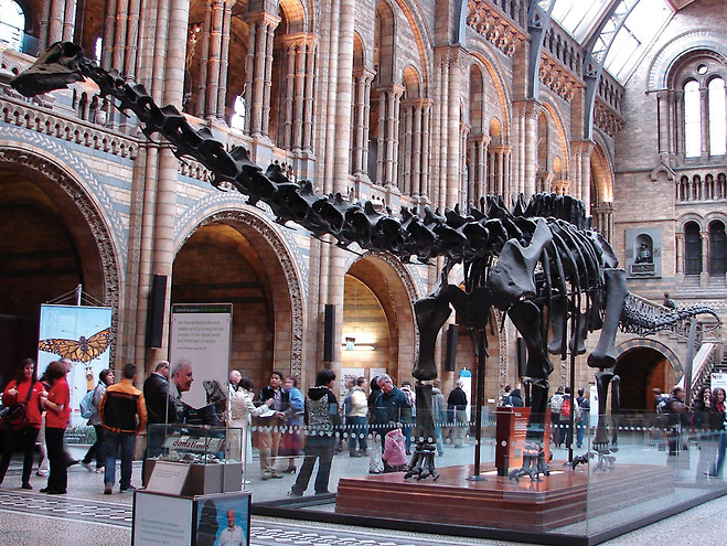 런던 자연사 박물관(Natural History Museum London)