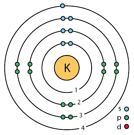 19 potassium (K) enhanced Bohr model