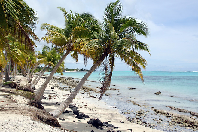 사바이(Savaii)