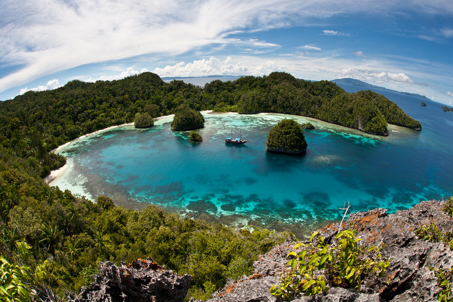 멜라네시아, 뉴기니 섬(Melanesia, New Guinea)