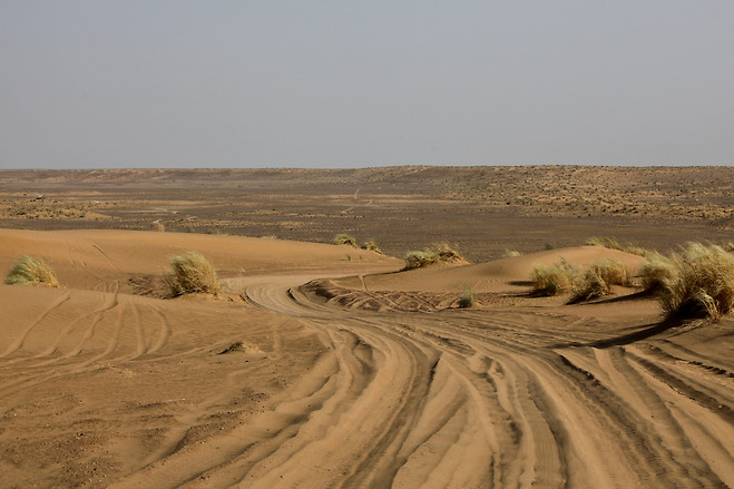 카라쿰 사막(Pustynya Karakumy)