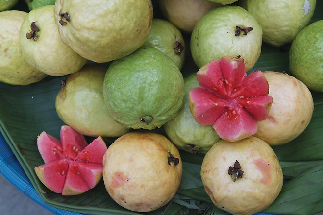 구아바 열매와 내부 모습(인도네시아)
