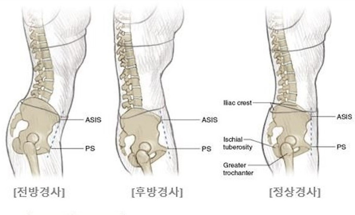 조이무브먼트 이미지