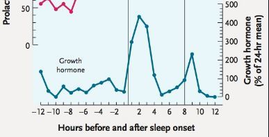 성인 성장호르몬 번째는 5