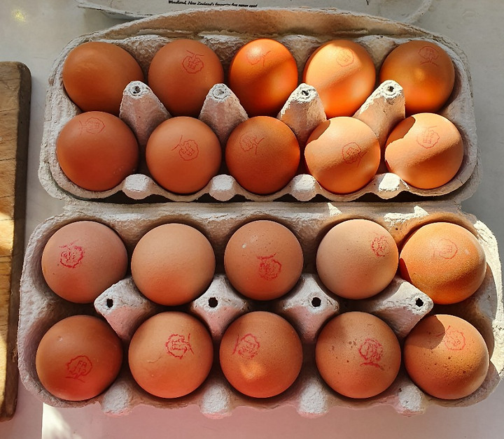 법 구운 계란 만드는 맥반석계란만드는법, 일반