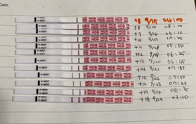 [임신 다이어리] 임신 18주차_내과검진(당 수치 갑상선 수치검사). 19주차_복통(위경련)으로 내원, 자궁경부 길이 확인