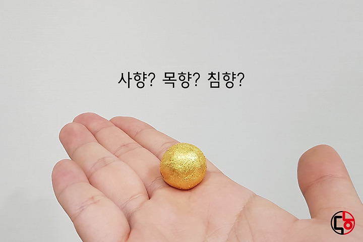 침향 목향공진단 사향공진단 효능 4