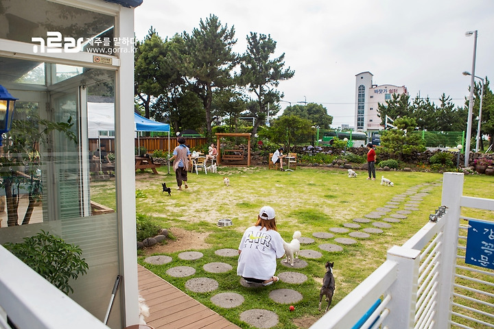 반려동물 동반이 가능한 카페키스톤스피시스(층별 안내) 2