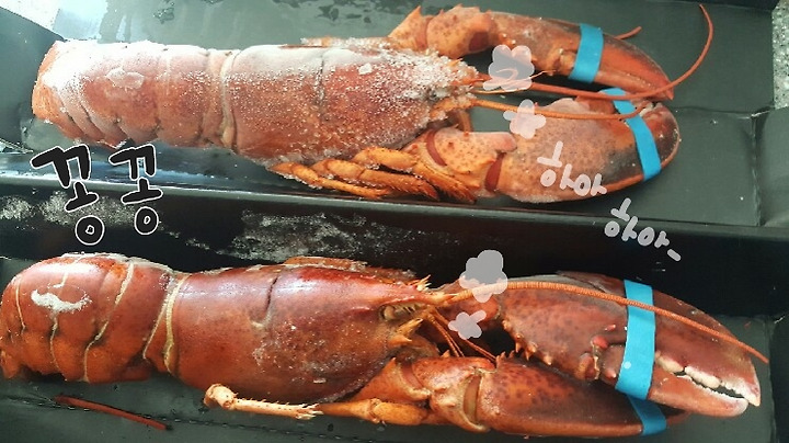 랍스타 샌드위치 & 랍스타내장 볶음밥
