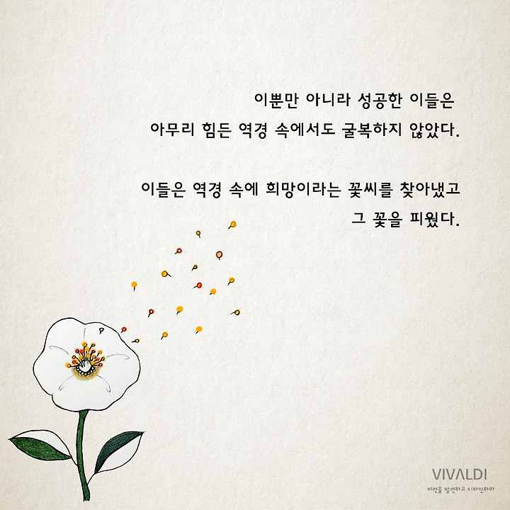 모든 역경 속에서 살아남기: 고양이의 산불 생존과 가족과의 재회에 관한 감동적인 이야기. 3