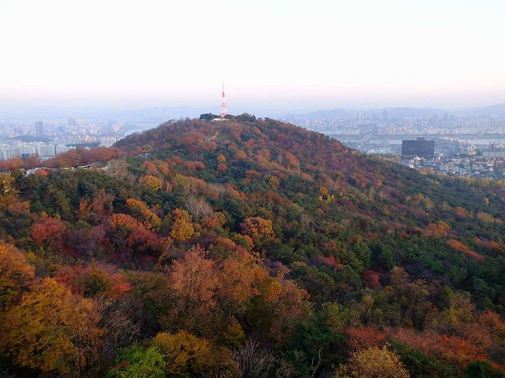 남산의 가을이 생각난다.