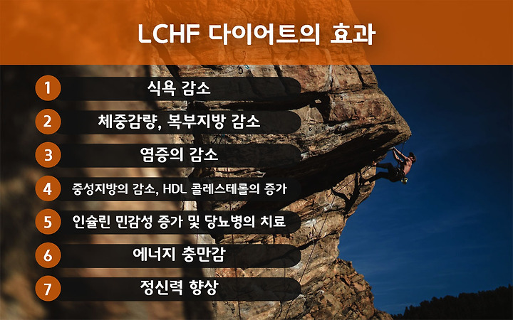 건강 다이어트의 시작, 저탄고지(LCHF) 식단과 키토제닉 다이어트의 비밀