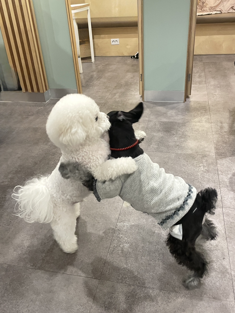 도리앤도리스 매장 사진