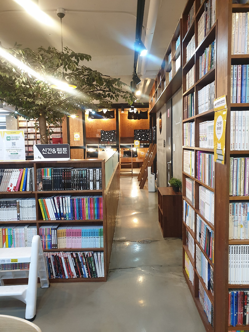 놀숲 강남역점 매장 사진