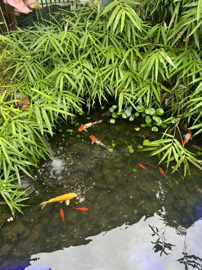 익선동 한옥 골목 데이트