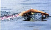 철인 3종 경기의 하나인 수영. 3.9km를 간다.
