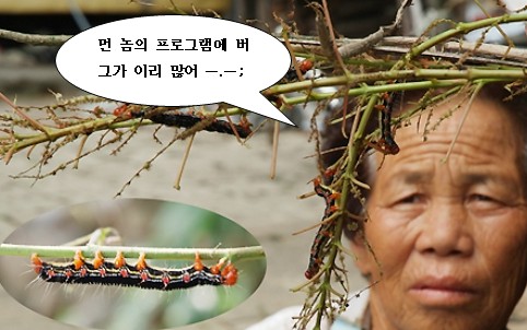 사용자 삽입 이미지