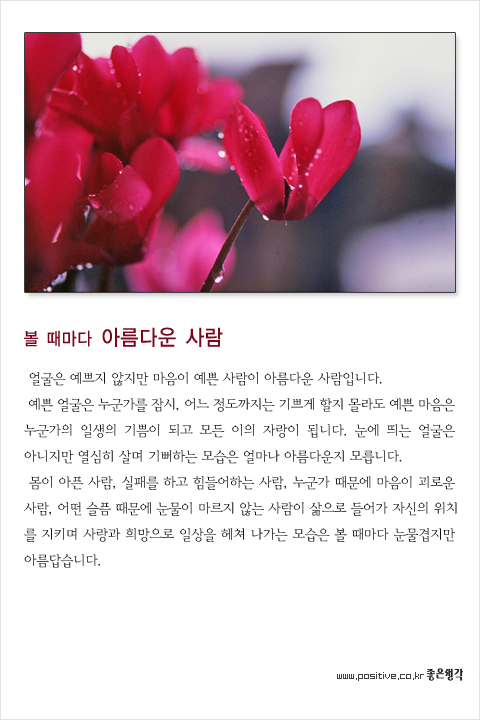 사용자 삽입 이미지
