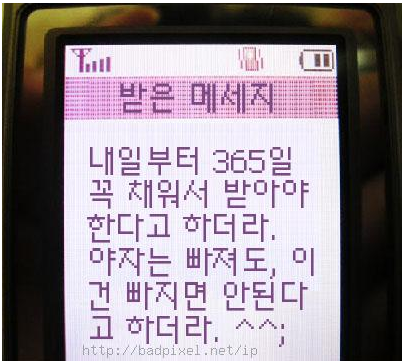 사용자 삽입 이미지