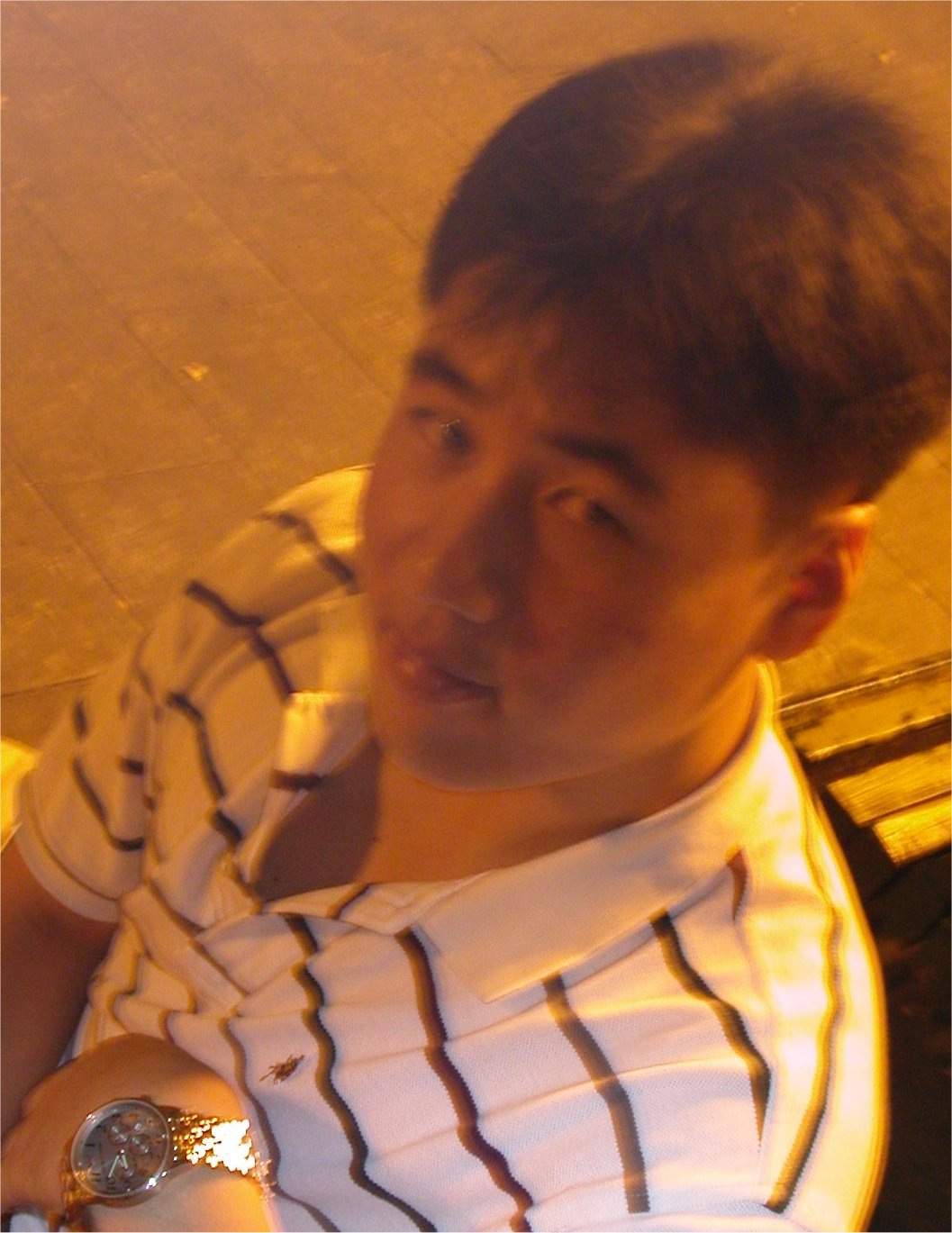 사용자 삽입 이미지