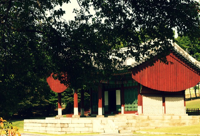 사용자 삽입 이미지
