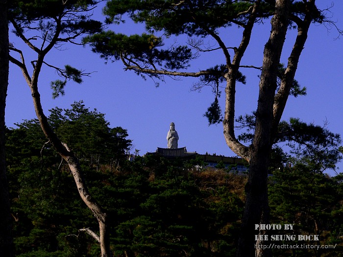사용자 삽입 이미지