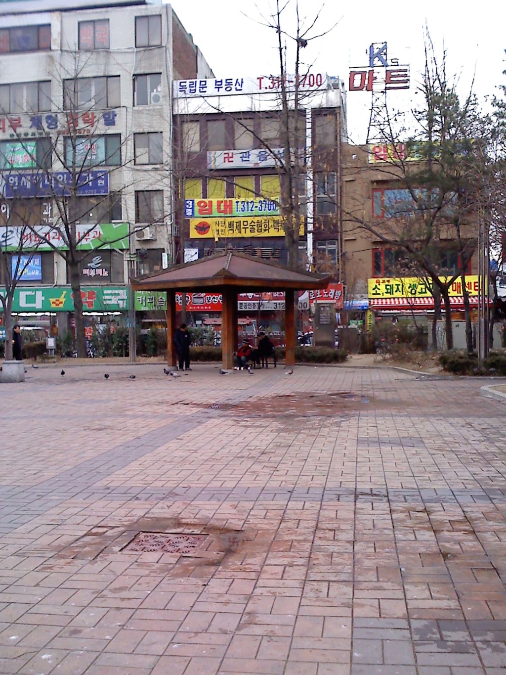 사용자 삽입 이미지