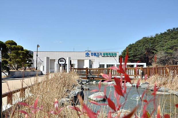 사용자 삽입 이미지