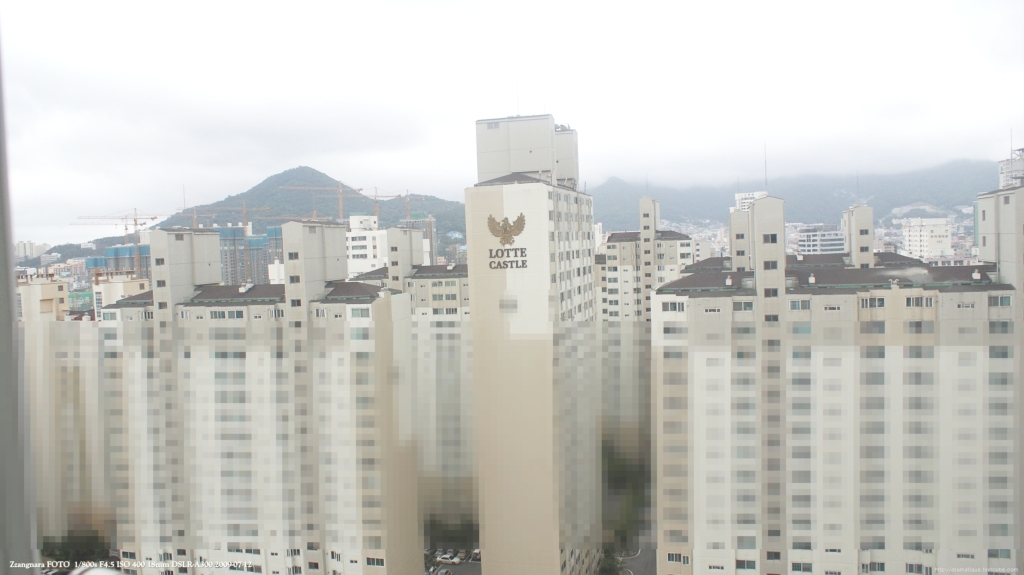 망원테스트 실제사진