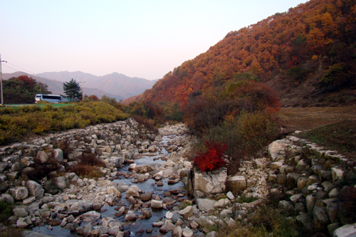사용자 삽입 이미지