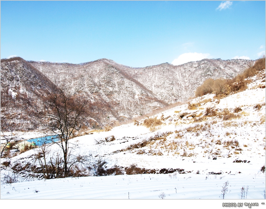 사용자 삽입 이미지