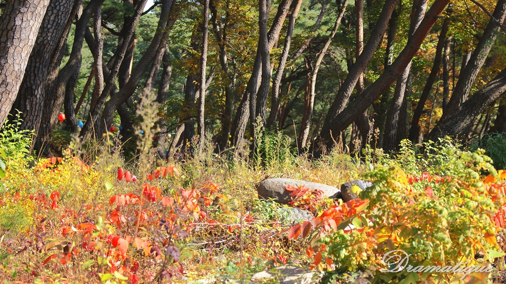 영축산