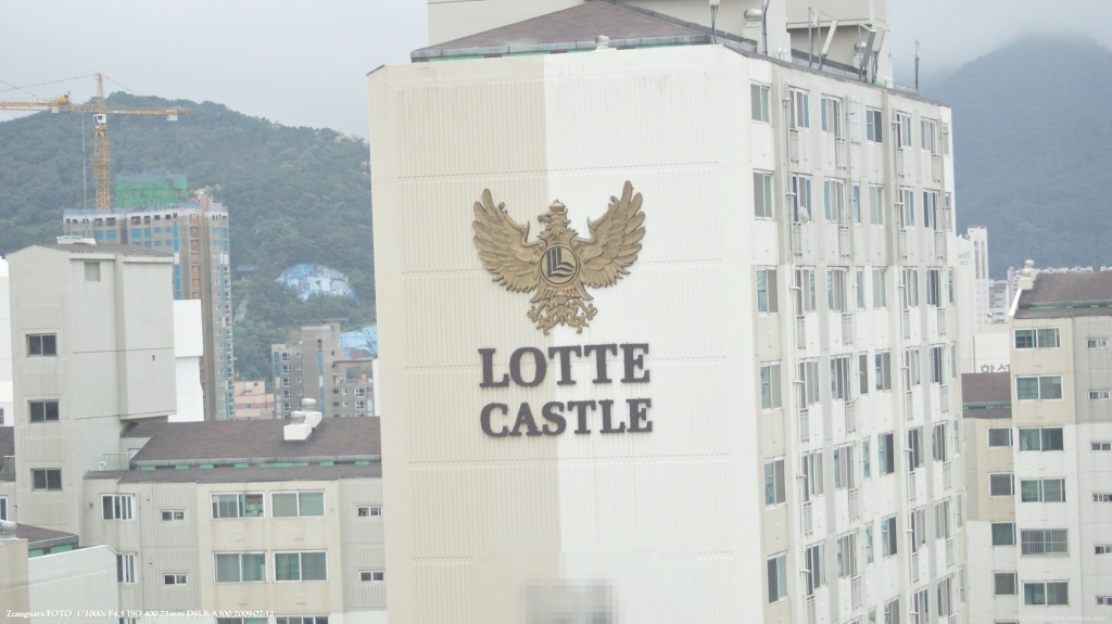 망원테스트 실제사진