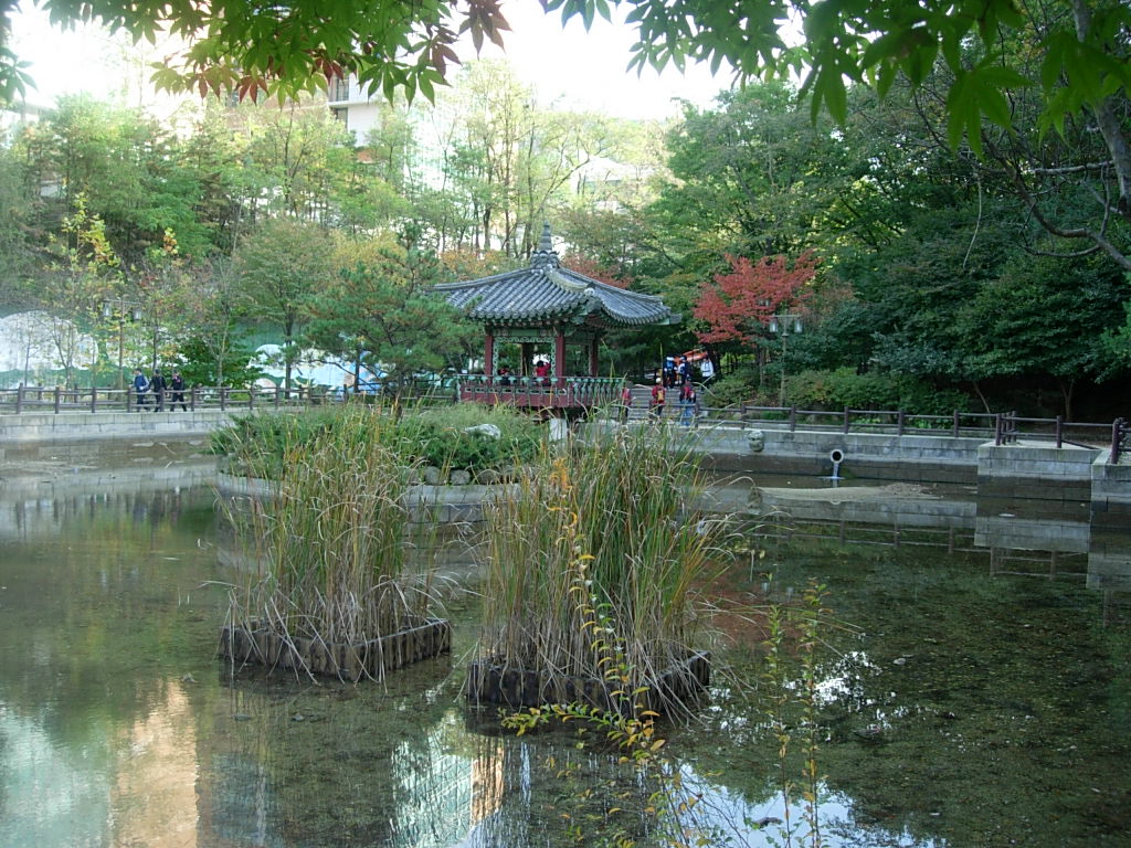 사용자 삽입 이미지