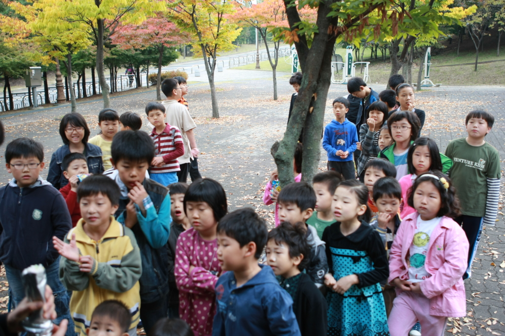 사용자 삽입 이미지