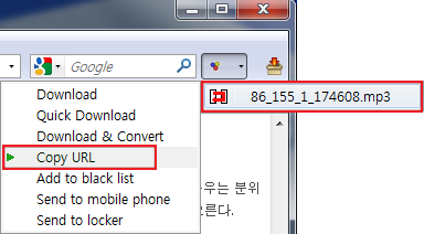 사용자 삽입 이미지