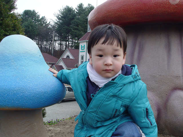 사용자 삽입 이미지