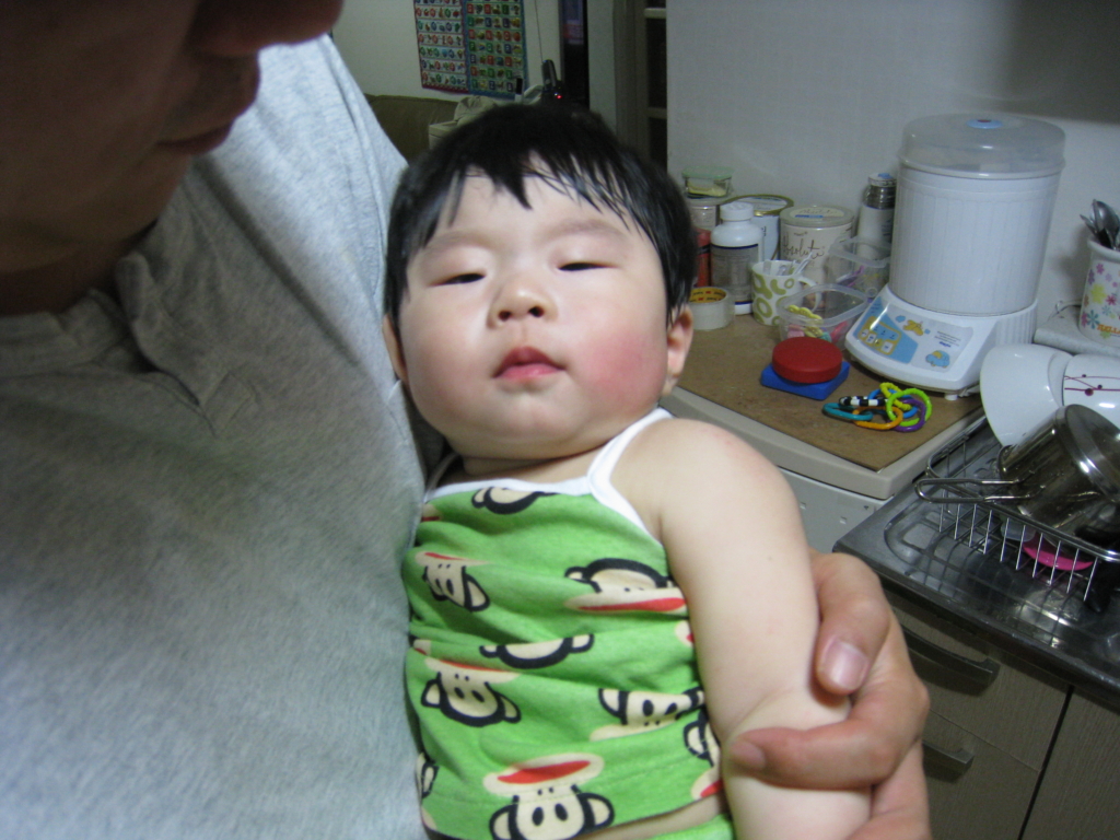 사용자 삽입 이미지