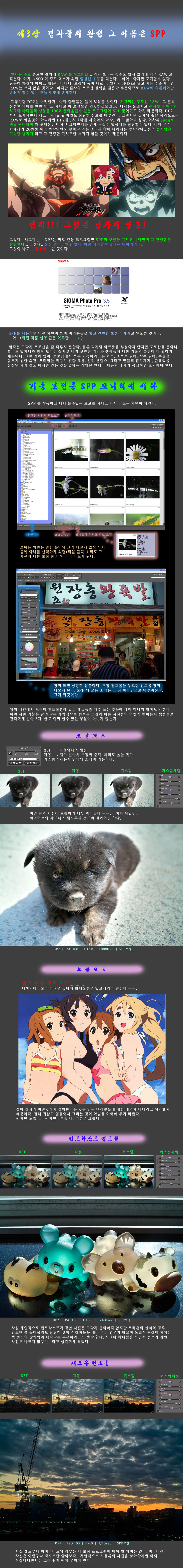 사용자 삽입 이미지