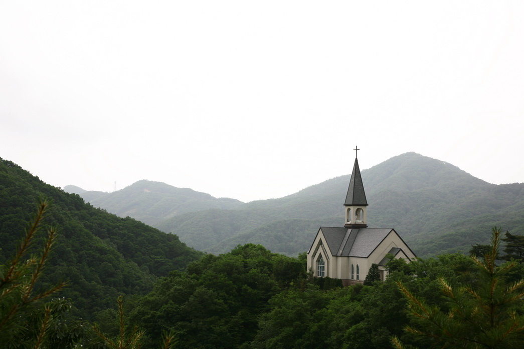 사용자 삽입 이미지