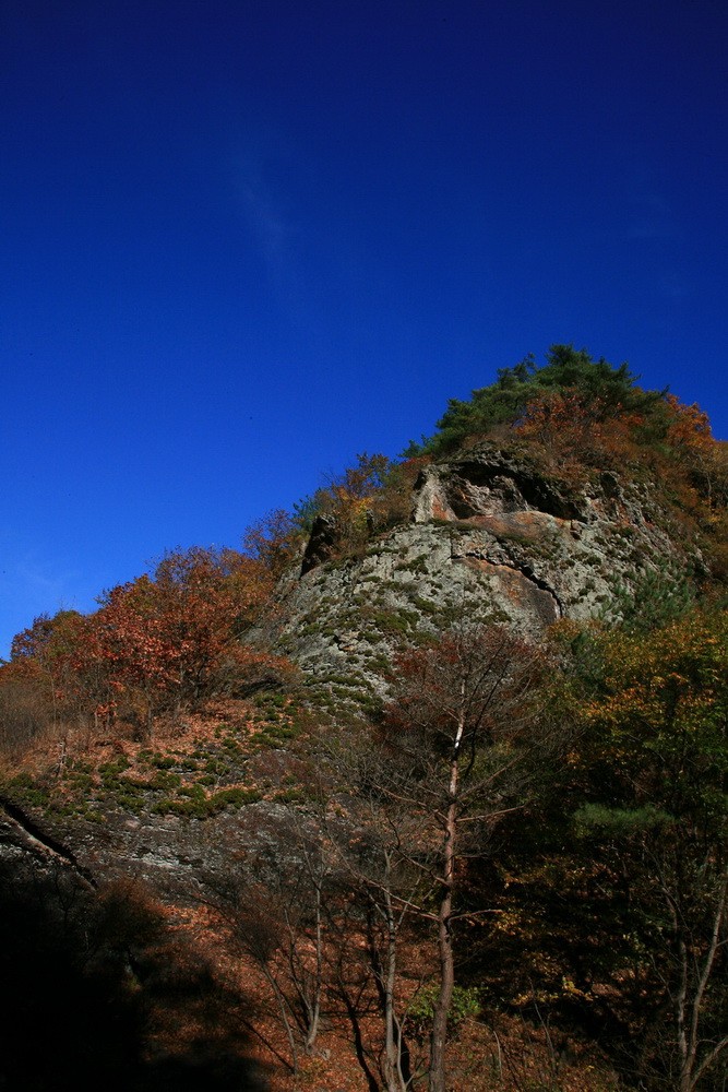 사용자 삽입 이미지