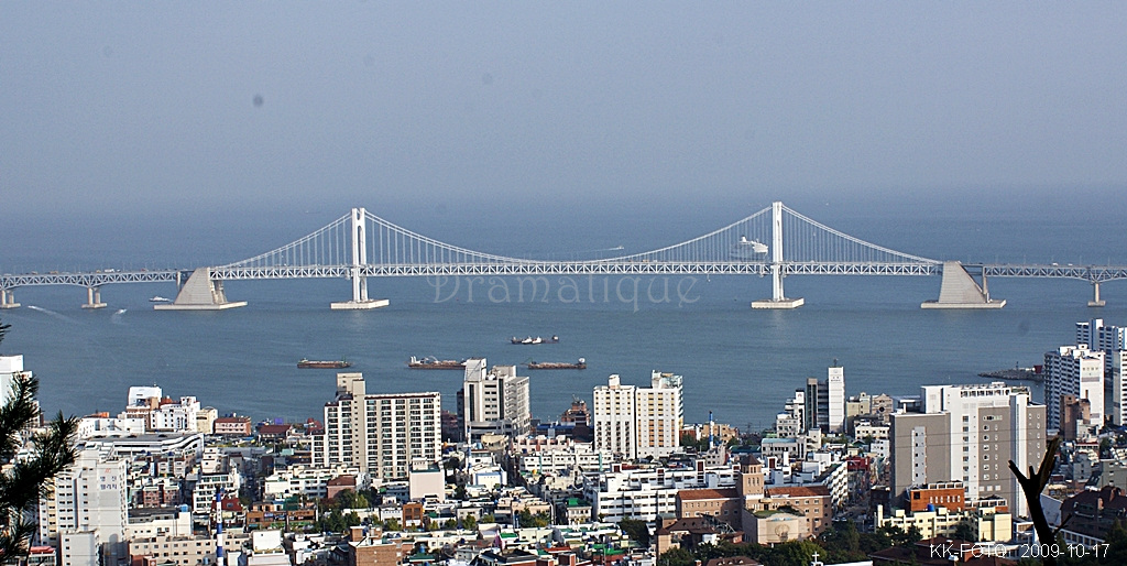 불꽃축제