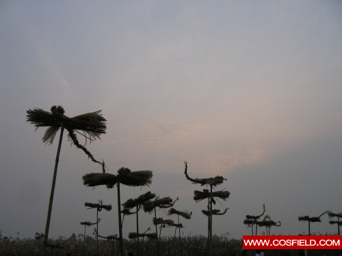 억새풀잠자리,억새,억새축제,난지도,하늘공원