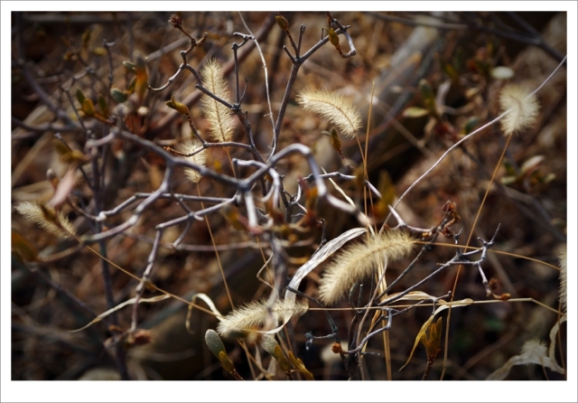 Photograpy.흑백사진,겨울사진