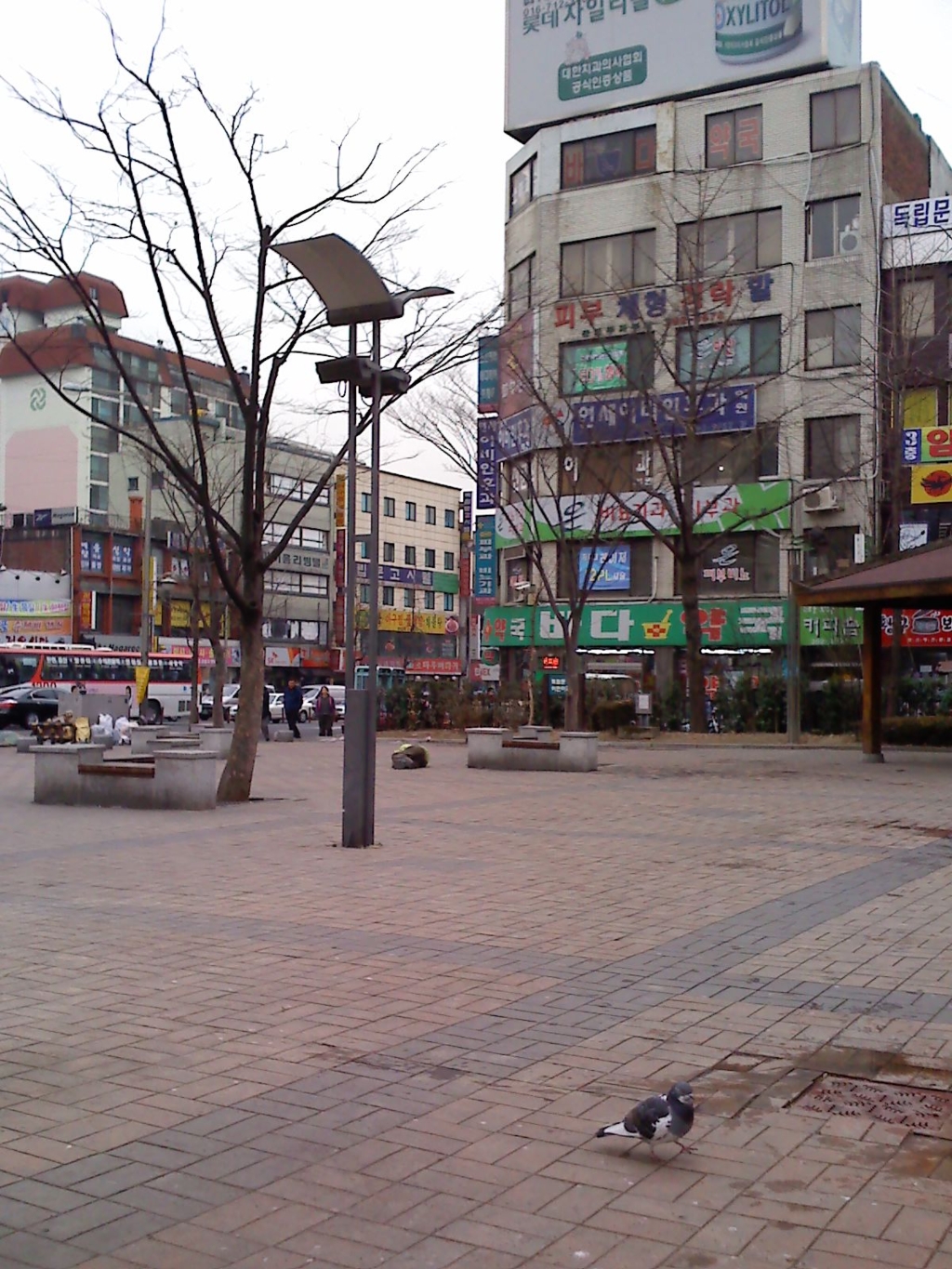 사용자 삽입 이미지